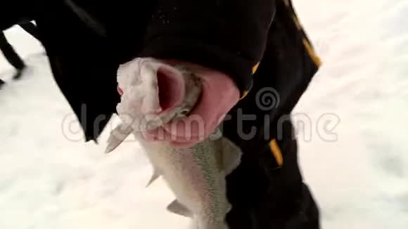 渔民们在冰上的付费池塘里钓鳟鱼和鲟鱼视频的预览图