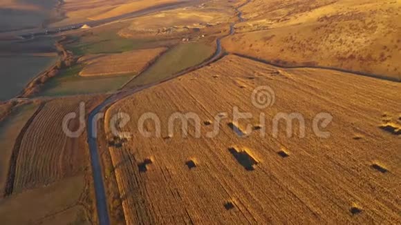 空中4k农业景观从无人机播种场准备收割视频的预览图
