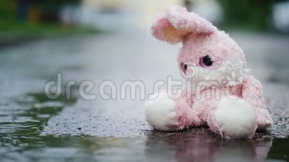 一只可爱的玩具兔子正坐在雨中的水坑里视频的预览图