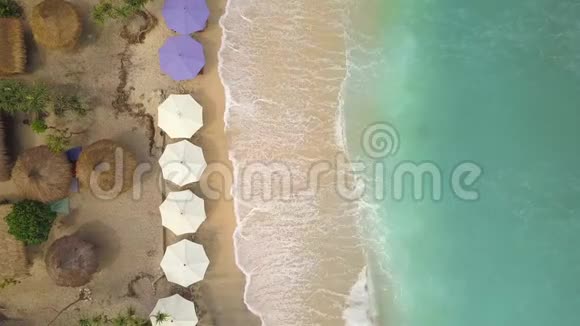 空中桑迪海滩与伞和酒廊床在天堂热带岛印度尼西亚努萨佩尼达4K海洋之巅视频的预览图