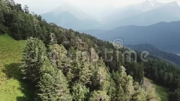 覆盖着松林的海岸山脉的鸟瞰图夏季绿树和山地的鸟瞰图视频的预览图