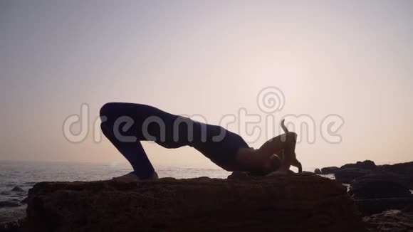 穿着紧身衣的年轻女子在令人惊叹的日出时与猫一起在海面上的海滩上练习瑜伽健身运动瑜伽视频的预览图