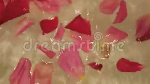 水中的玫瑰花瓣视频的预览图