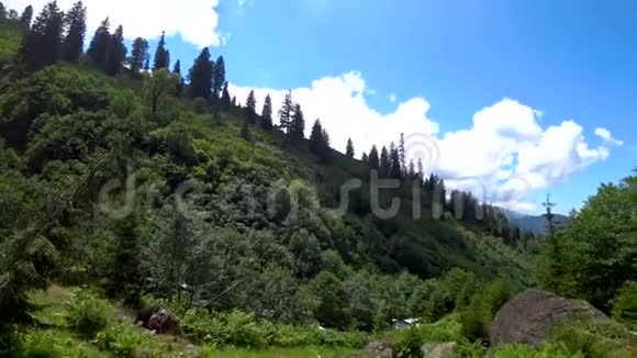 土耳其阿尔特文黑海地区美丽的绿色自然景观视频的预览图