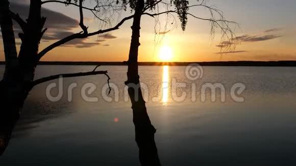 美丽的日落在湖面上阳光反射水面视频的预览图