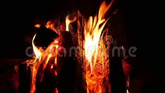 篝火在黑暗中熊熊燃烧火和火焰中的木柴慢动作视频的预览图