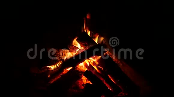 篝火在黑暗中熊熊燃烧火和火焰中的木柴慢动作视频的预览图