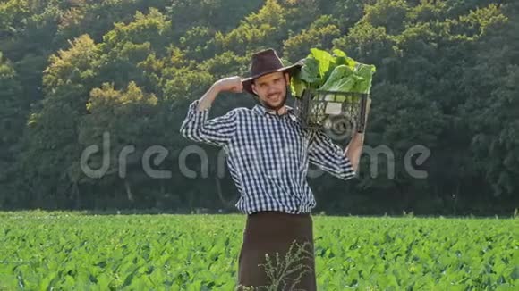 一个农民肩上扛着一箱卷心菜视频的预览图