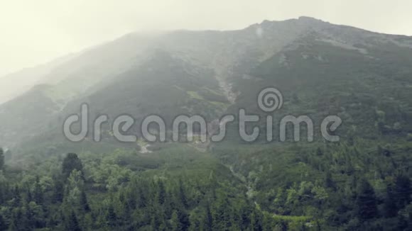山在雨雾中雨滴滴滴潮湿寒冷的山地大气雾中树木繁茂的山丘视频的预览图