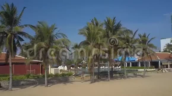 海滩景观棕榈树建筑物和游泳池视频的预览图