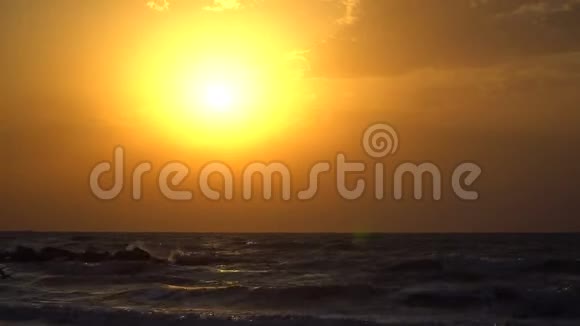 海鸥朝太阳飞向天空日落慢速运动视频的预览图
