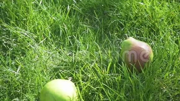 慢动作多汁的梨滴在草地上视频的预览图