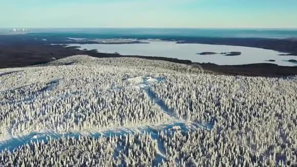 鸟瞰白雪覆盖的森林冰冻的湖泊蓝色的大海录像美丽的白雪皑皑的山峰视频的预览图