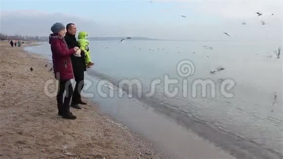 家人在海滩上喂海鸥视频的预览图