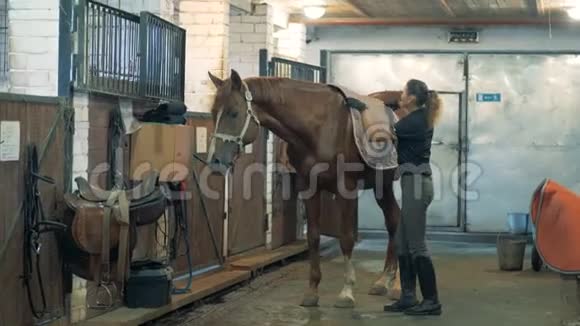 女运动员把马鞍放在马上视频的预览图