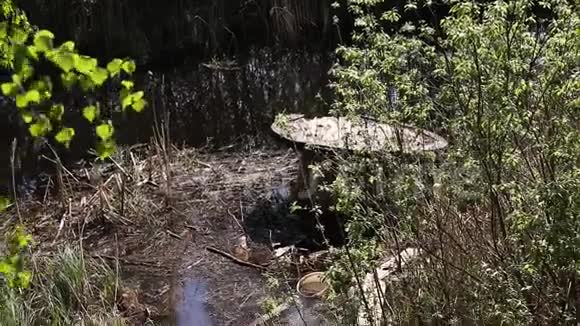 森林湖里的垃圾污染视频的预览图