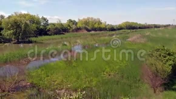在春天的杰格里卡河和自然公园上空飞行伏伊伏丁那塞尔维亚欧洲视频的预览图