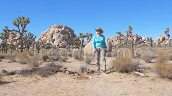 摩哈维沙漠中的妇女在迦基约书亚树和石头中视频的预览图