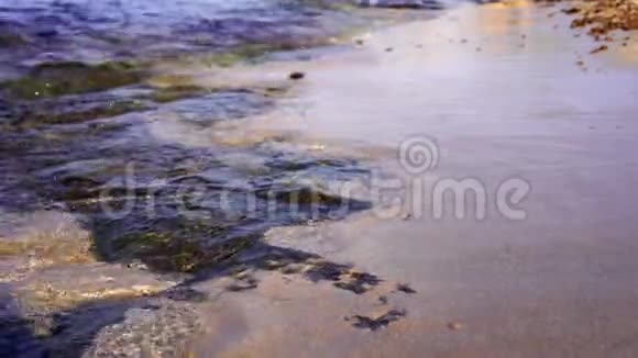 温暖的日落强烈的热带海波在海滩上岩石底部和清澈的水视频的预览图