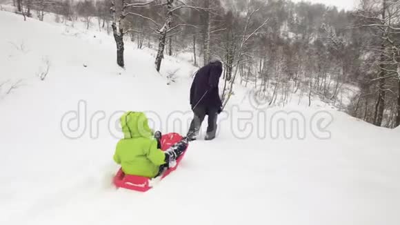 后面的冬天跟着父亲带着孩子在雪地上拉着红色的雪橇爸爸儿子或女儿雪上雪橇家庭视频的预览图