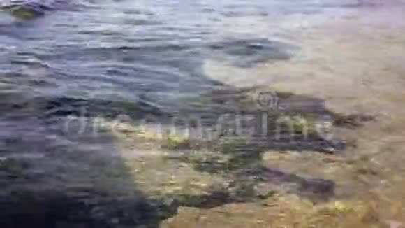 温暖的日落强烈的热带海波在海滩上岩石底部和清澈的水视频的预览图