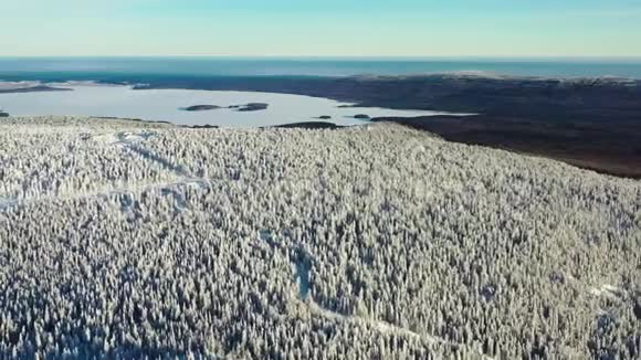鸟瞰白雪覆盖的森林冰冻的湖泊蓝色的大海录像美丽的白雪皑皑的山峰视频的预览图