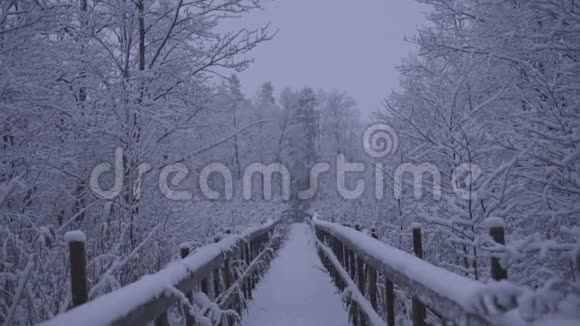 美丽的自然和景观视频雪蓝色黄昏在卡特林霍尔姆瑞典与木桥视频的预览图