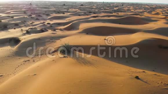 沙漠日落沙丘景观空中镜头视频的预览图