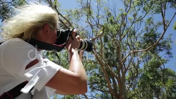 带考拉的野生动物摄影师视频的预览图