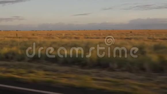 一种棕黄色的草质平原视频的预览图