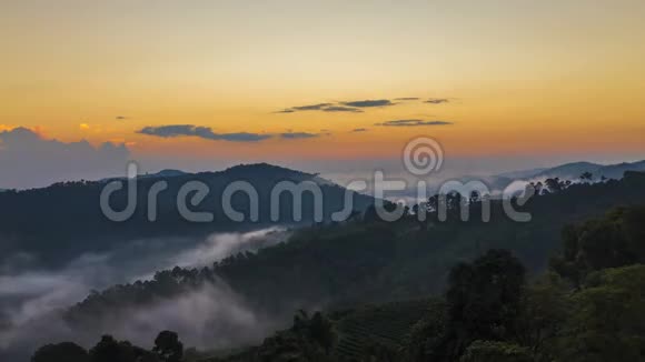 多麦沙龙101个茶园是泰国清莱旅游胜地它是山坡视频的预览图