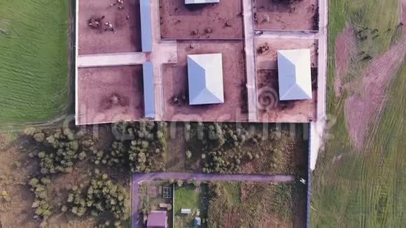 无人机摄像机拍摄了现代围栏农场的屋顶与方形动物教堂视频的预览图