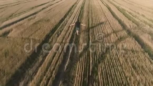 年轻成功的快乐男人在田野上奔跑手臂伸出空中全景后景视频的预览图