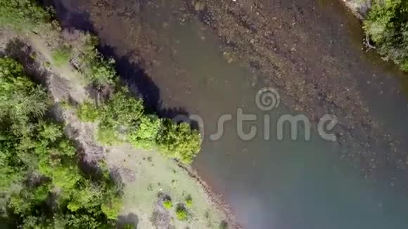 在绿色植物之间的浅山河视频的预览图