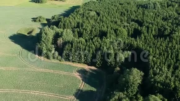 美丽的夏日时光有田野和森林空中视频的预览图