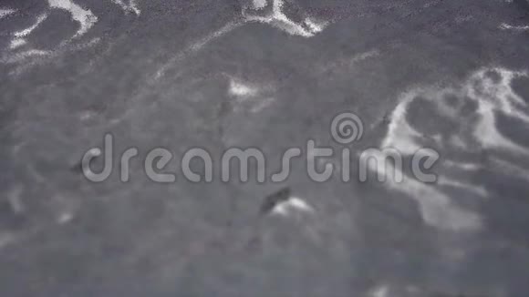 带有粒子的抽象灰色背景五颜六色的深灰色油漆在水中混合墨水在水下旋转关门视频的预览图