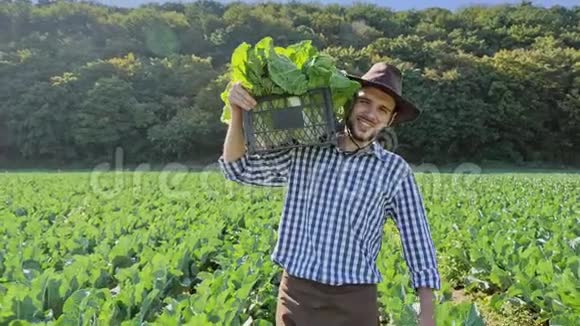 一个农民扛着一箱卷心菜在他的肩膀在种植园视频的预览图