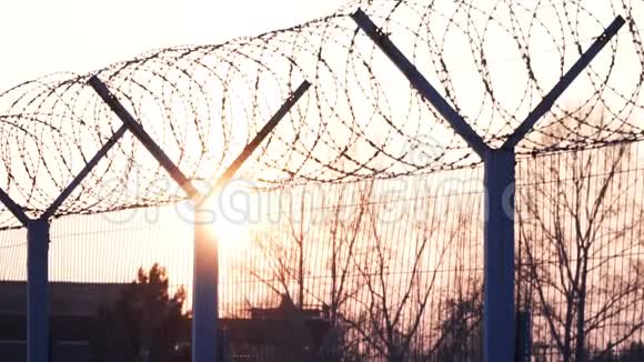 阳光和树木通过金属栅栏与铁丝网守卫监狱约束视频的预览图