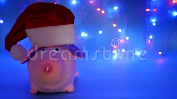 一只粉色的圣诞猪戴着红色的圣诞老人帽看着镜头背景是圣诞灯一只蓝色的视频的预览图