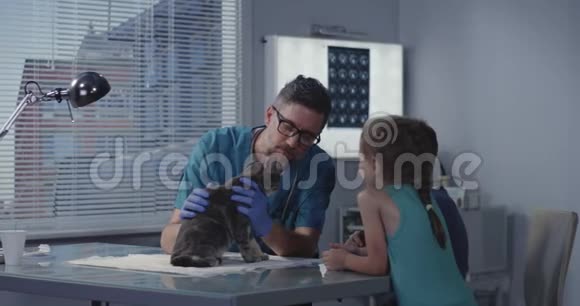 男性兽医检查猫视频的预览图