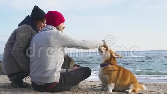 在海滩上有科吉狗的人视频的预览图