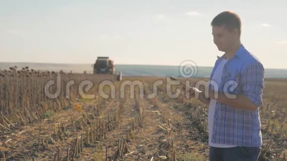 农民在收割准备好的向日葵作物地的平板电脑上工作背景结合视频的预览图