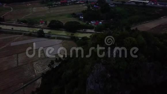 马来西亚森林鸟瞰图视频的预览图