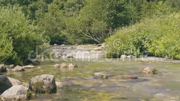 夏天的森林里水流在石头间流动美丽的大自然视频的预览图