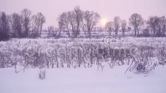 日落时壮丽的冬季景观视频的预览图
