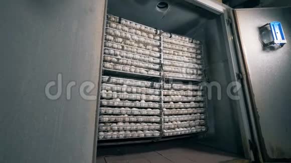 存放大量新鲜鸡蛋的金属容器视频的预览图
