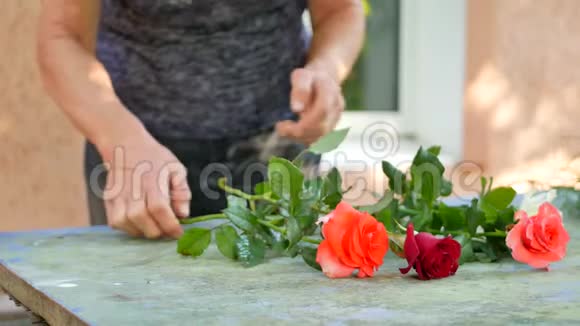花店用粉色白色和红色玫瑰做花束的花商女士视频的预览图