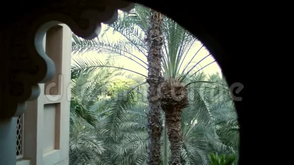 阿联酋迪拜2017年11月20日JumeirahAlQasrMadinat酒店花园开窗景观视频的预览图
