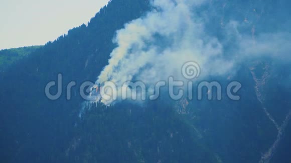 山林中的火视频的预览图