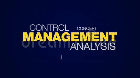管理分析控制保证业务组织战略认证成功检查系统动画字视频的预览图